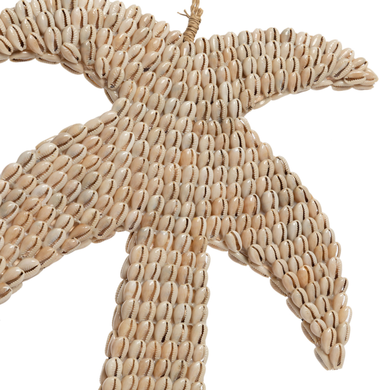 Bazar Bizar De Schelpen Palmboom - Naturel