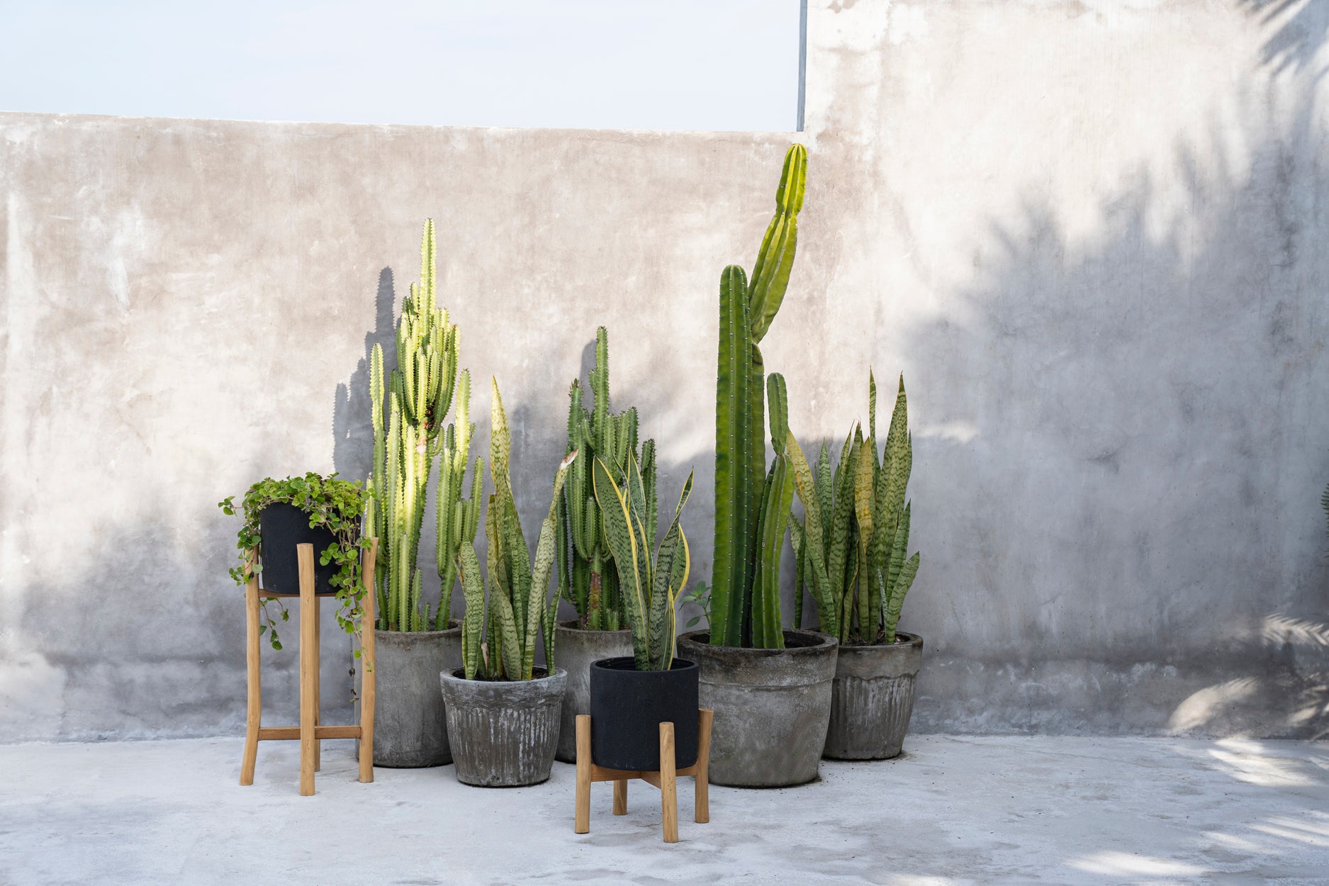 Bazar Bizar De Charcoal Hoge Plantenbak - Zwart Natural - L