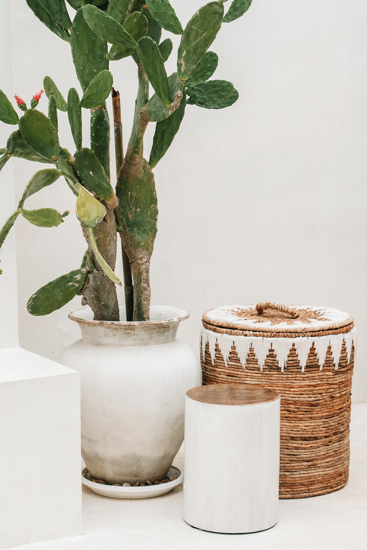 Bazar Bizar De Tribe Kruk - Naturel